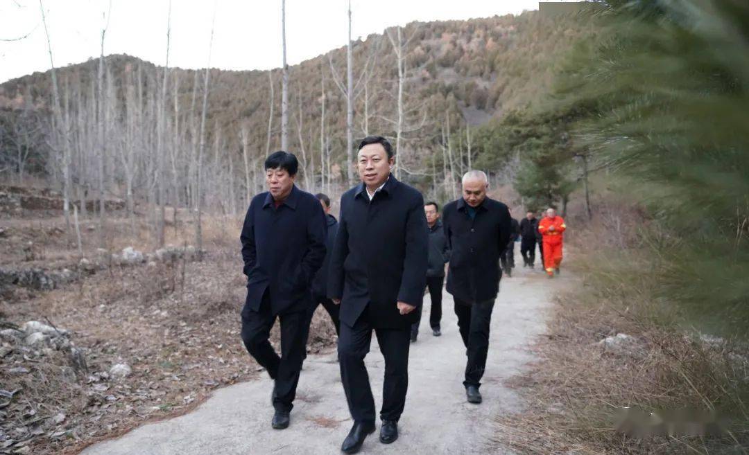 12月6日下午,县委书记蔡宗健深入国营大峪林场大峪分场,就冬季森林