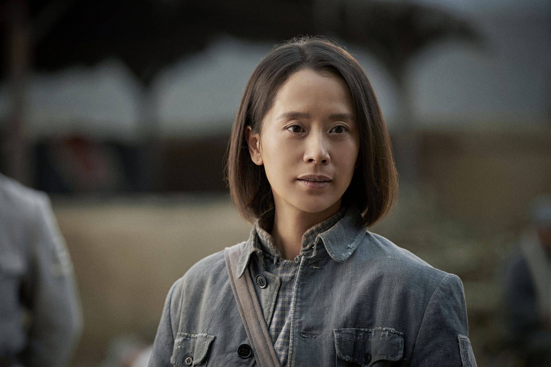 啊摇篮广东卫视热播海清李泽锋再现战火中的保育事业