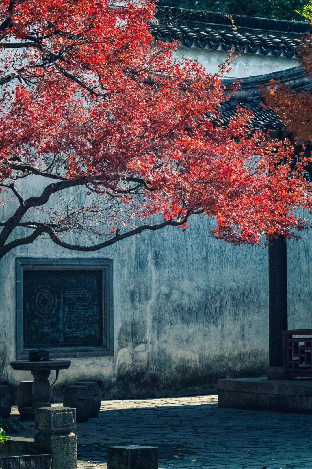 一遭,惊讶地发现:"中国园林太好看了,太成熟了,为何以前自己毫无感觉?