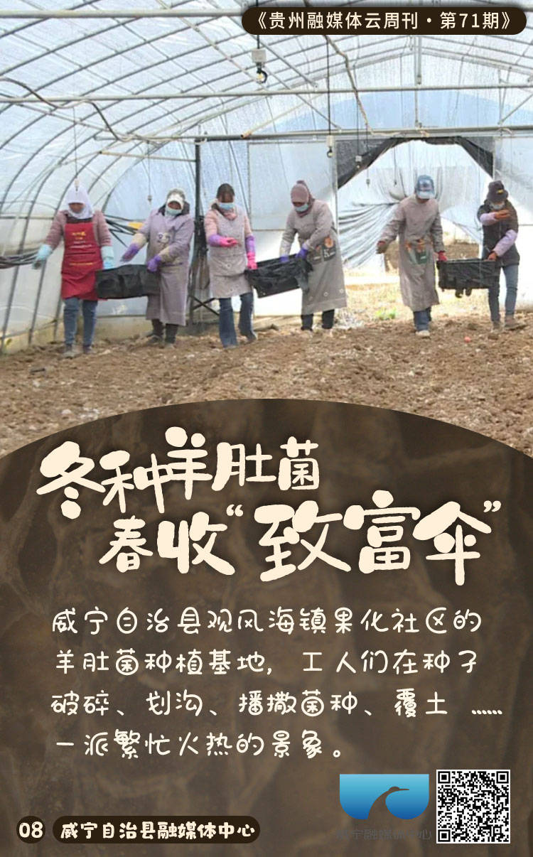 闵捷云周刊第71期｜黑的白的红的黄的紫的绿的蓝的灰的全在这里