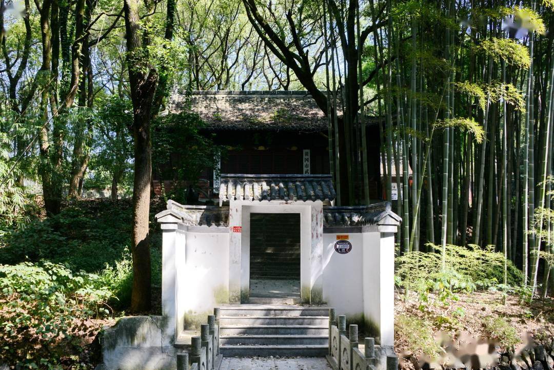 「觅苏记」黄州雪堂:我被聪明误一生(上)韦力撰_苏轼_东坡_潘邠