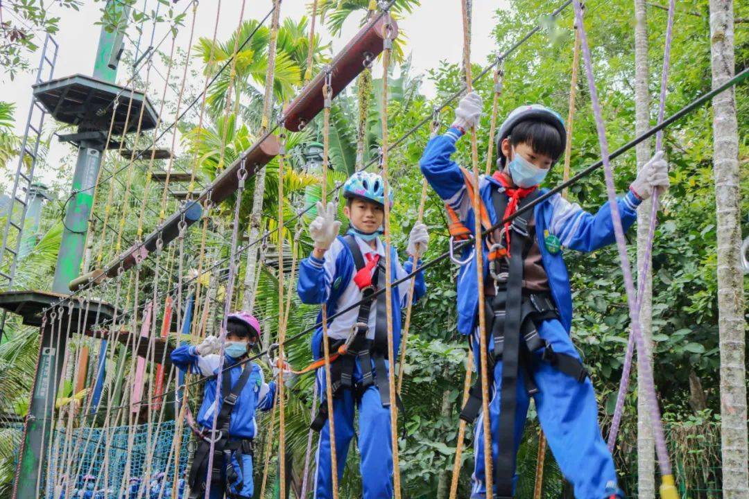 寻梦呀诺达,研学山水间_章节_雨林_图集