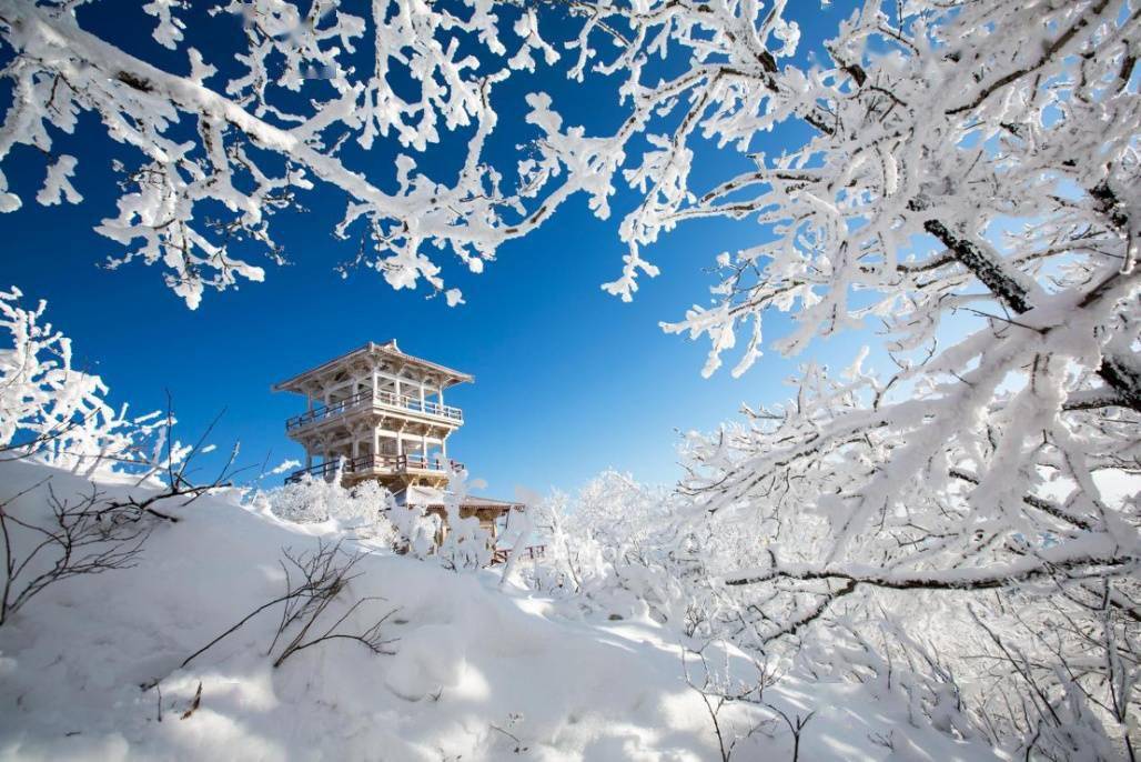 威虎山|黑龙江“最美冬妆”上线 这些宝藏打卡地建议收藏