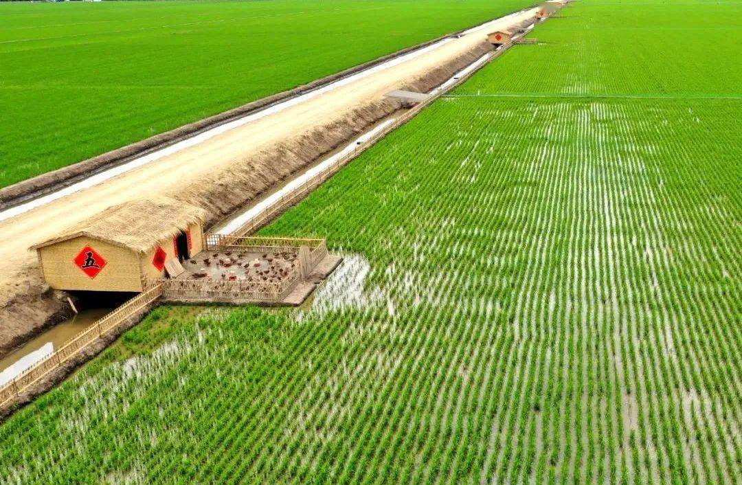 八五六沃野良田筑梦现代化农业发展提档升级
