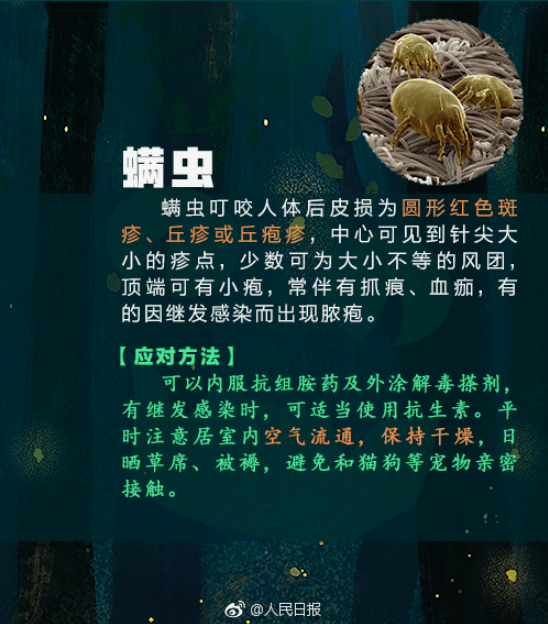 肝功能|女子逗猫后进了ICU，医生提醒：这种病在南方多发