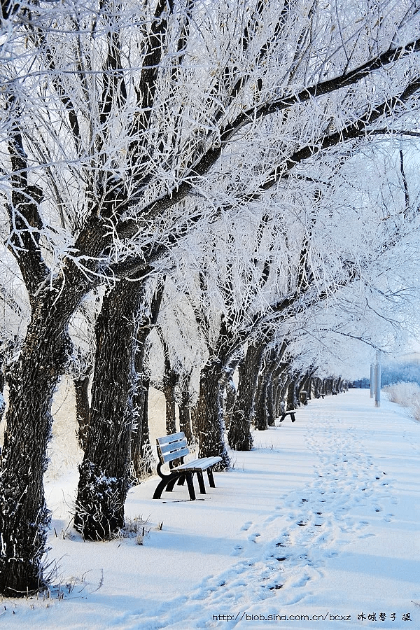 等到那一天欢乐的雪花飘满天