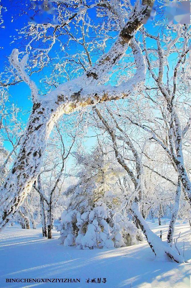 等到那一天,欢乐的雪花飘满天!