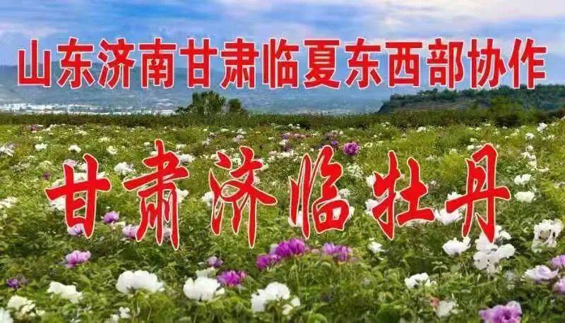 濟南幽蘭花卉苗木專業合作社與臨夏州振華牡丹公司成功簽約