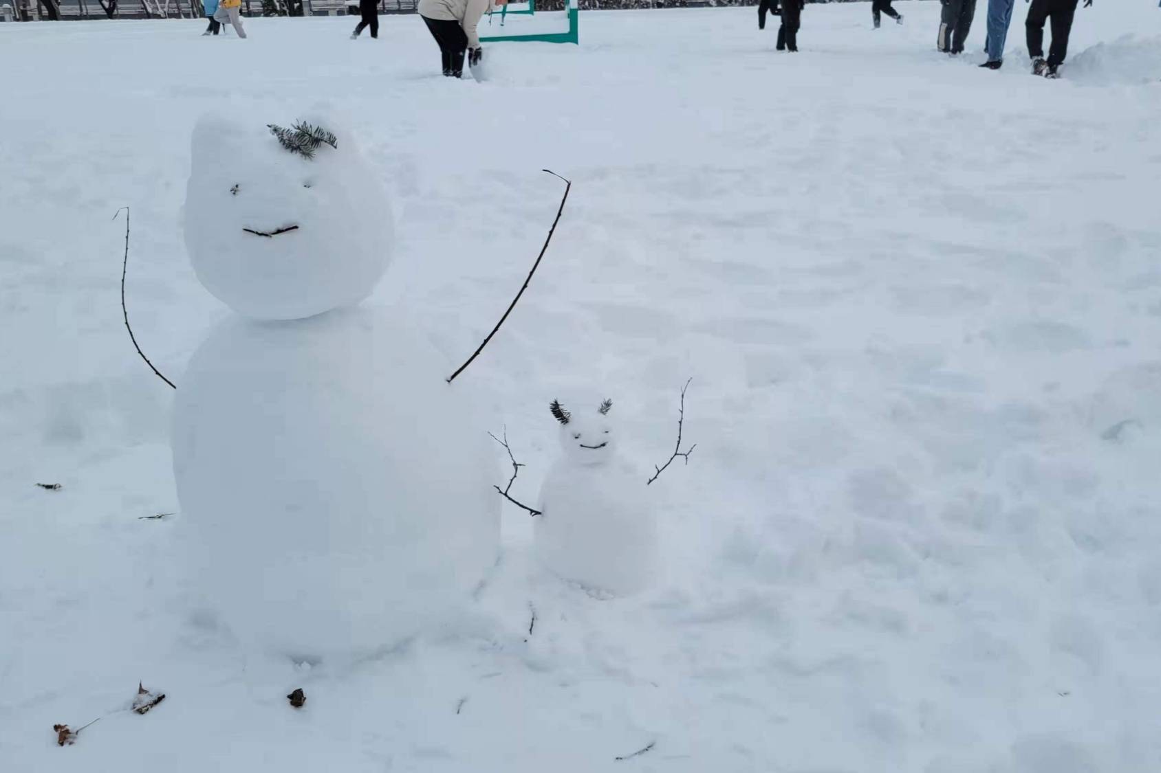 瑞雪|【雪落象牙塔】黑龙江工业学院：瑞雪已至 冬意正浓