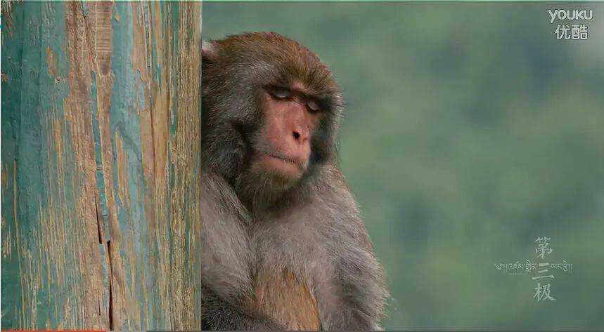 第三极mv 72d91e7d49034896b7d6e68327e383a0.jpeg