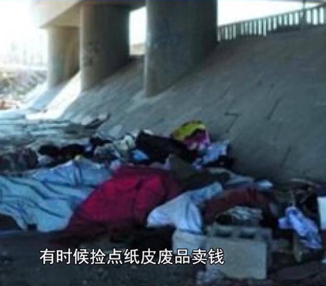 深圳:流浪大学生住在桥洞,一住就是三年,背后原因让人心酸_杨某_父母_感觉