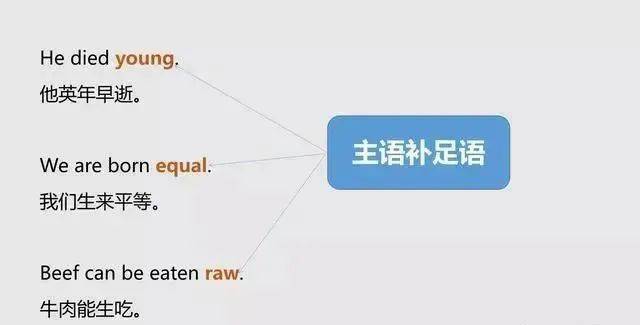 主语|一文搞定英语中的主语、谓语、宾语、定语、状语、补语和表语（初中生务必收藏）