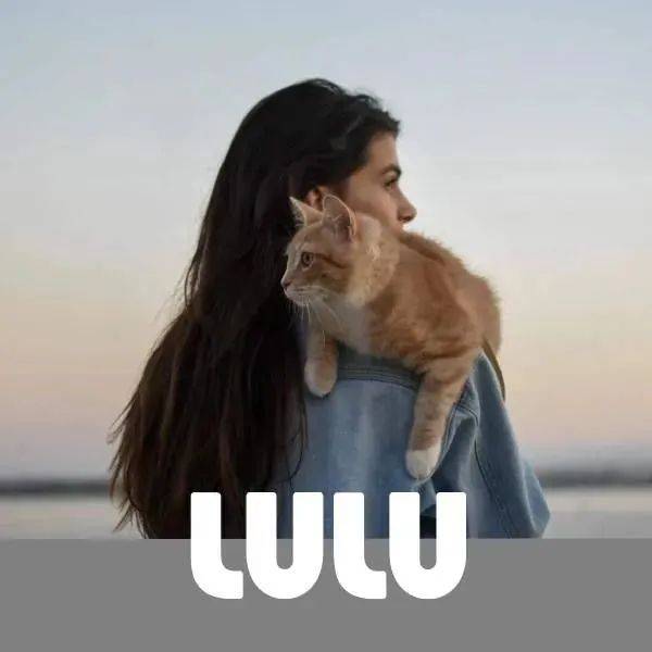 养猫后,人会发生什么变化?_and_来源_猫猫