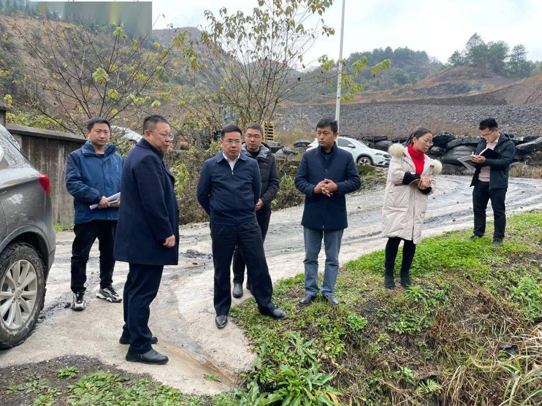 在渝祥建材有限公司,杨德昭实地检查了企业厂区拆除和矿山修复进展