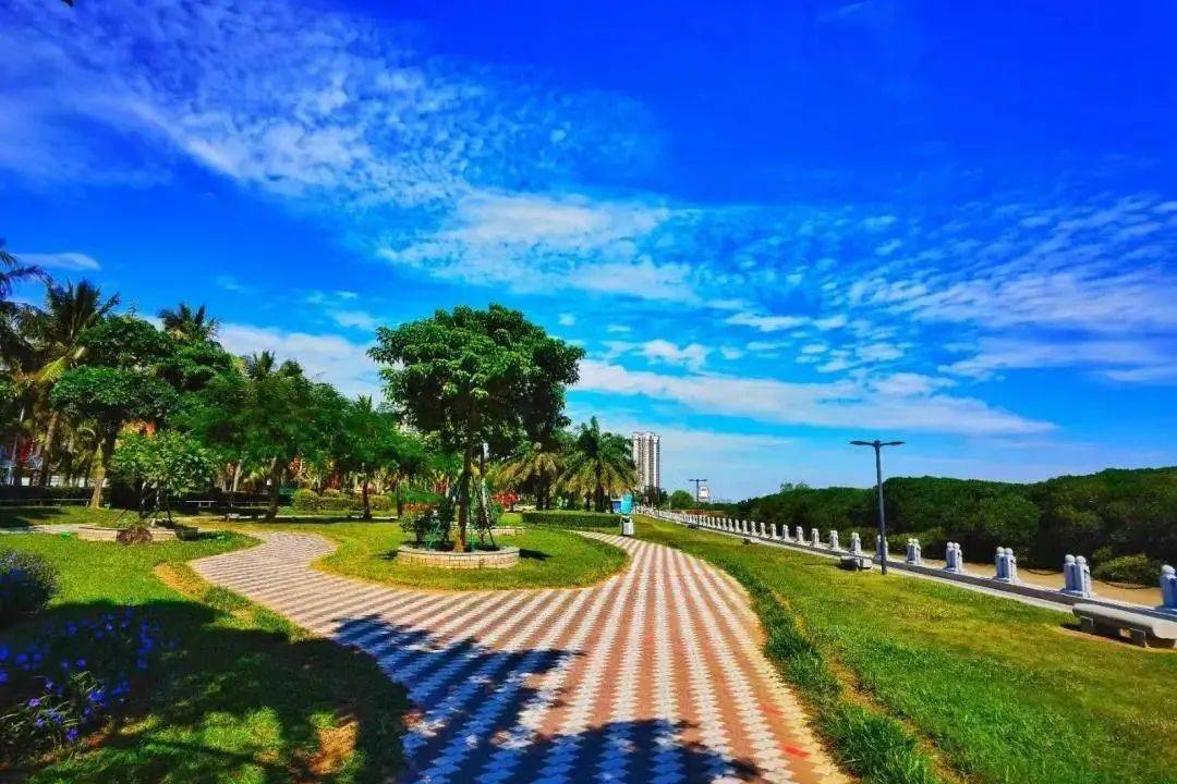 初冬的湛江积攒了四季的底色