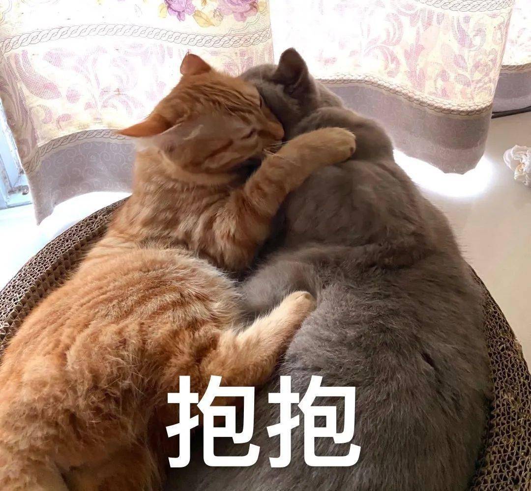 相关|警惕！深圳疾控发布紧急提醒！这些人需每隔一天测一次核酸