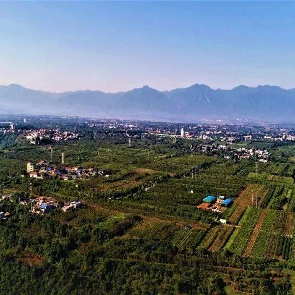 这个“重大发现”刷屏！究竟有多重大？_江村_陵园_考古