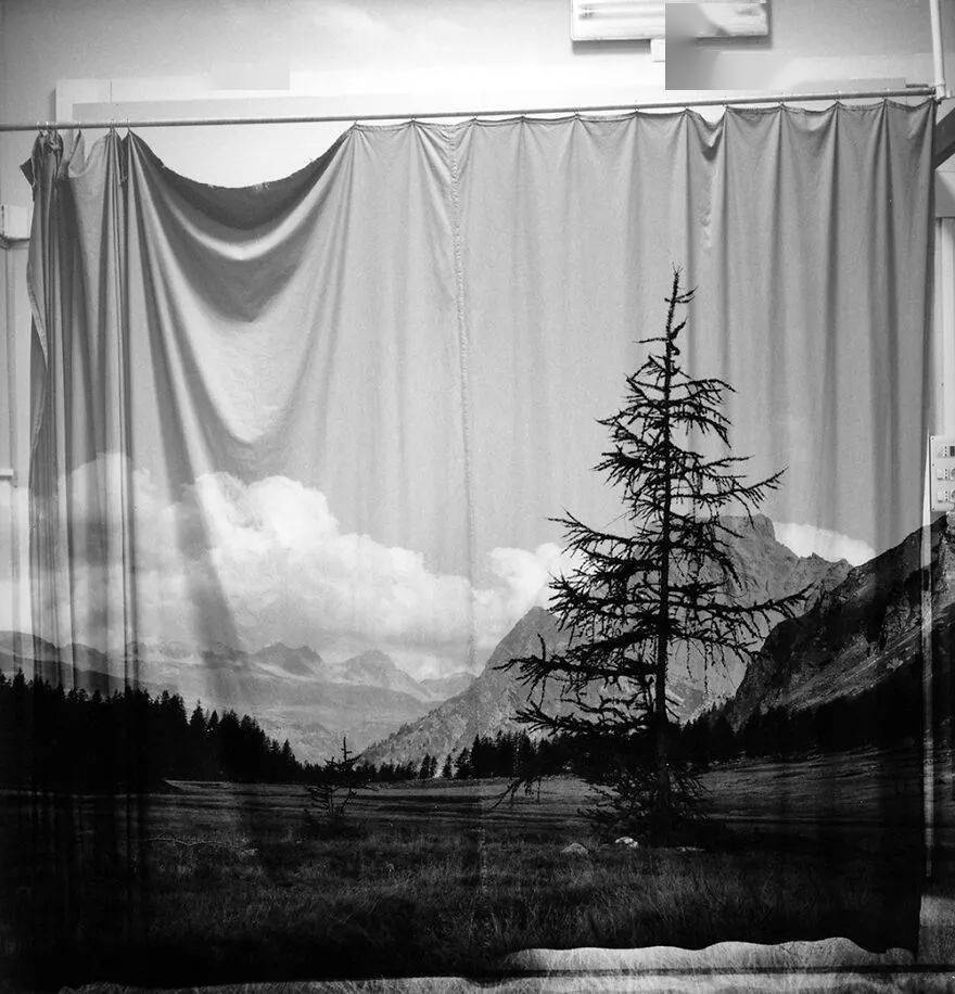 国际摄影奖的50张最佳照片