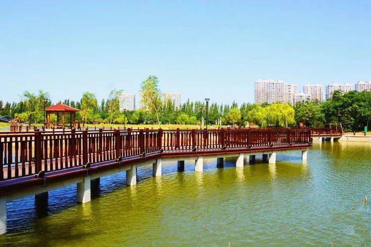 讲好营口故事│镜湖公园美了群众的心亮了