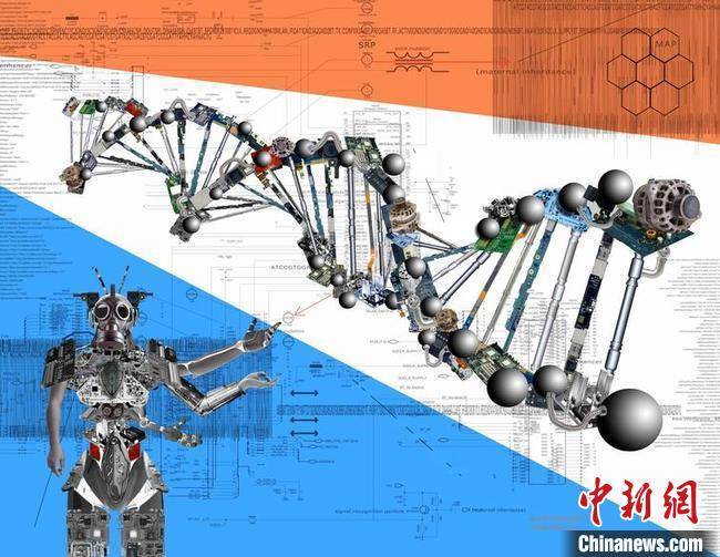 比特|反思数据化生存 艺术家郑龙一海视觉艺术作品在穗亮相