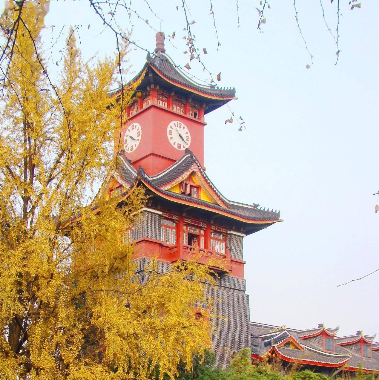 2021央广网mba教育年度峰会四川大学商学院mba