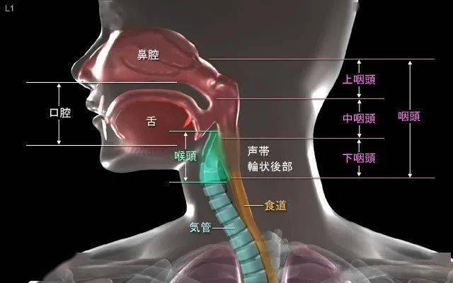 声音发闷到底该怎么办?