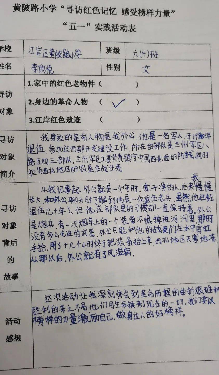 红领巾寻访记录表图片