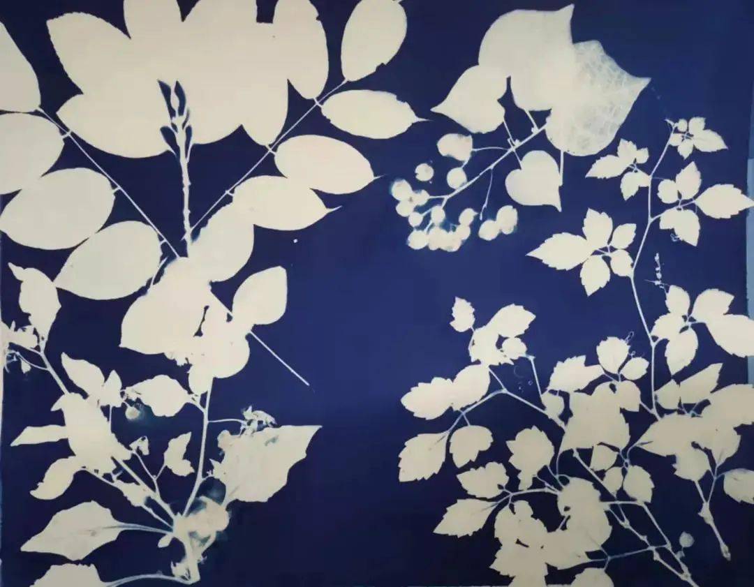 什么是蓝晒快来体验有颜又有趣的传统摄影工艺