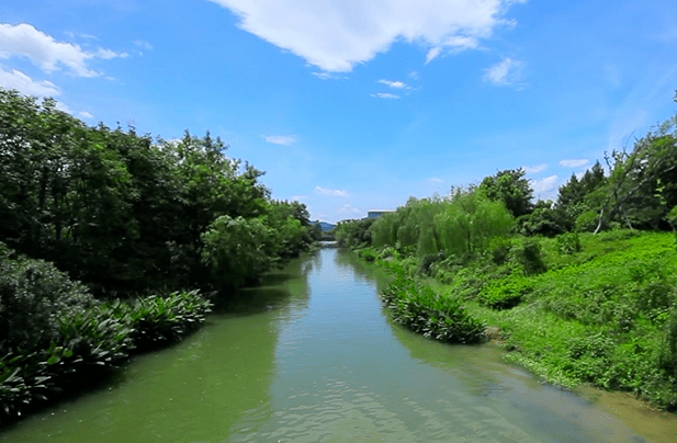 清水绿堤：幸福的蒋村港