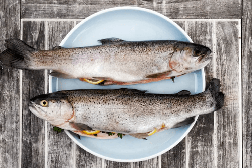 魚的這個部位有劇毒!有五類人不適合吃魚_魚肉_食物_蛋白質