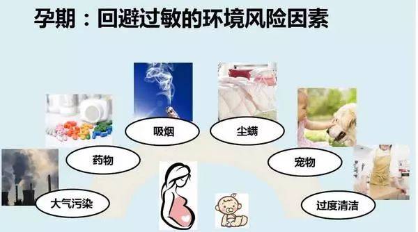 ac851417e8364911854506afda760318.jpeg