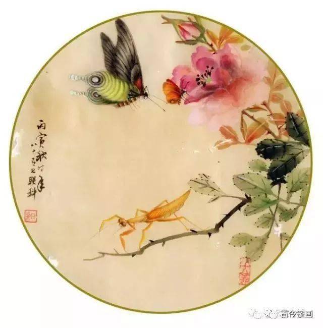 工笔没骨蝴蝶千姿百态画蝴蝶不用愁了