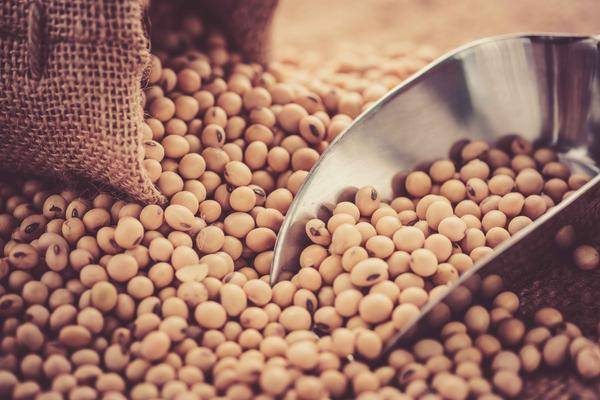 啥菜降血脂胆固醇 eca414a57a60430e9597bdc6071513a4.jpeg