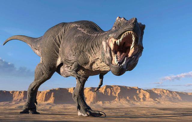 25亿只霸王龙科学家研究表明历史上一共出现过这么多恐龙杀手