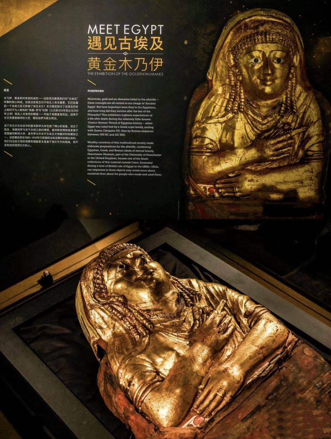 上海博物馆木乃伊展览图片