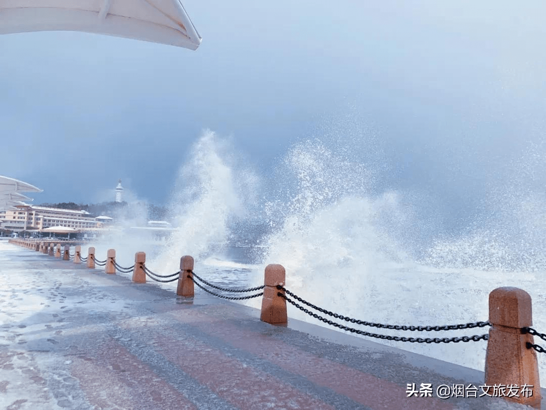 阿雅|雪?雪?雪?雪?雪?！烟台雪景大片海量来袭！