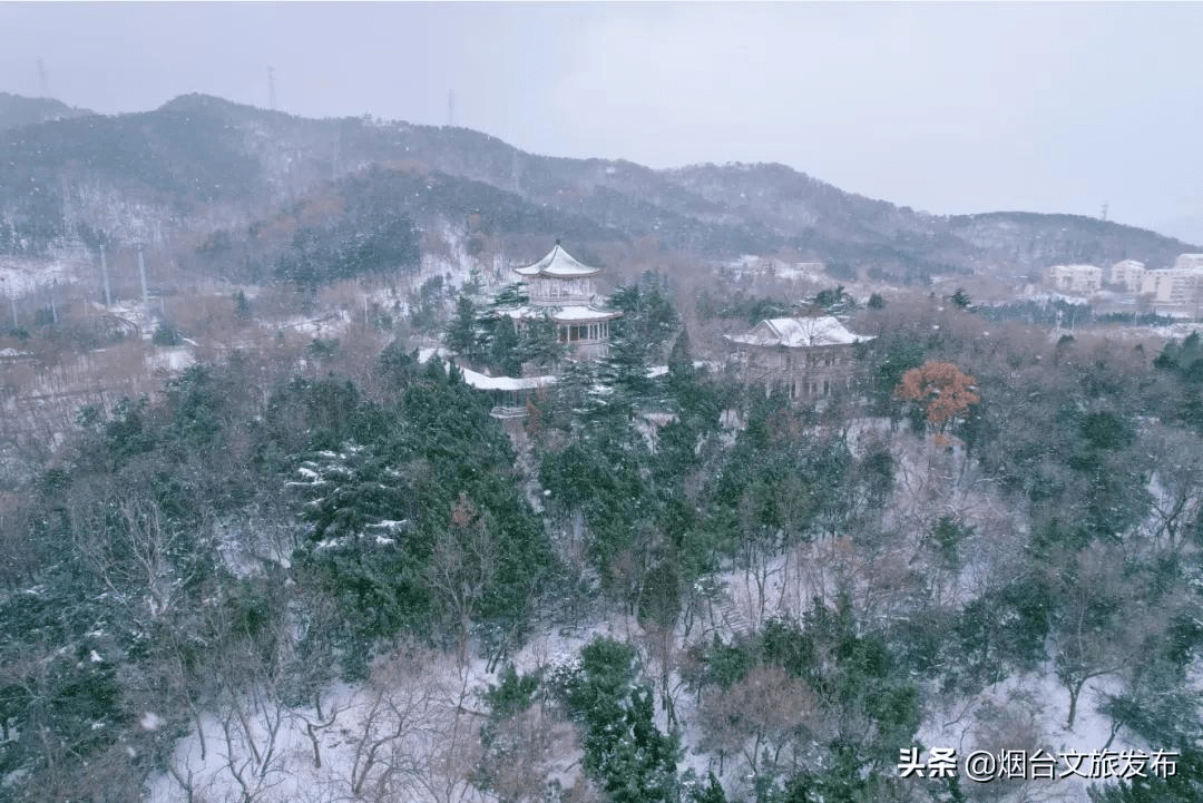 阿雅|雪?雪?雪?雪?雪?！烟台雪景大片海量来袭！