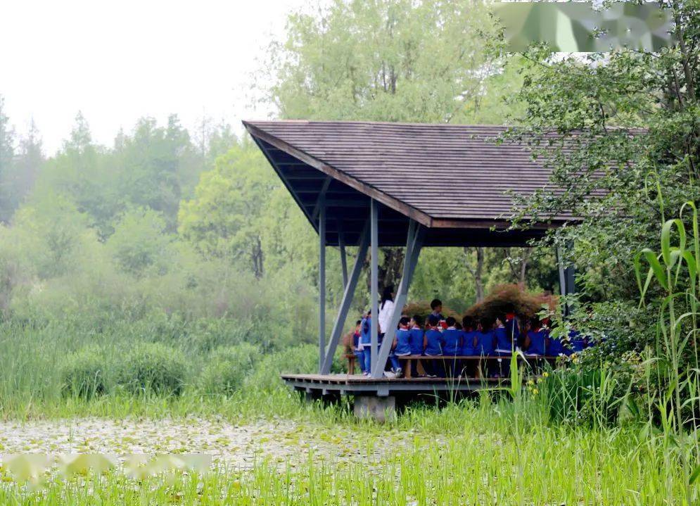 让一切美好自然生长我市这所学校获评苏州市湿地自然学校