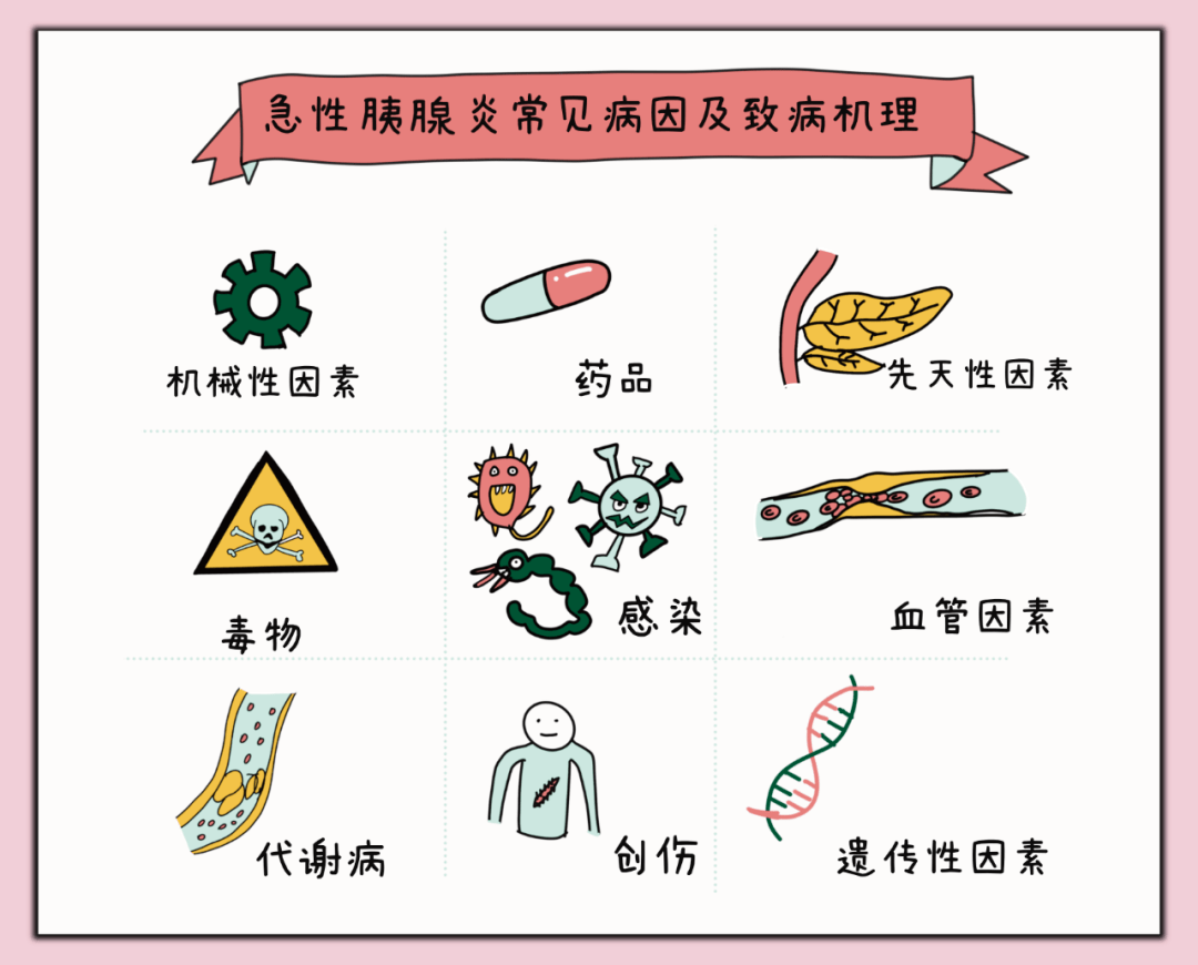 超高颜值急性胰腺炎公众与患者手册视觉呈现版yyds