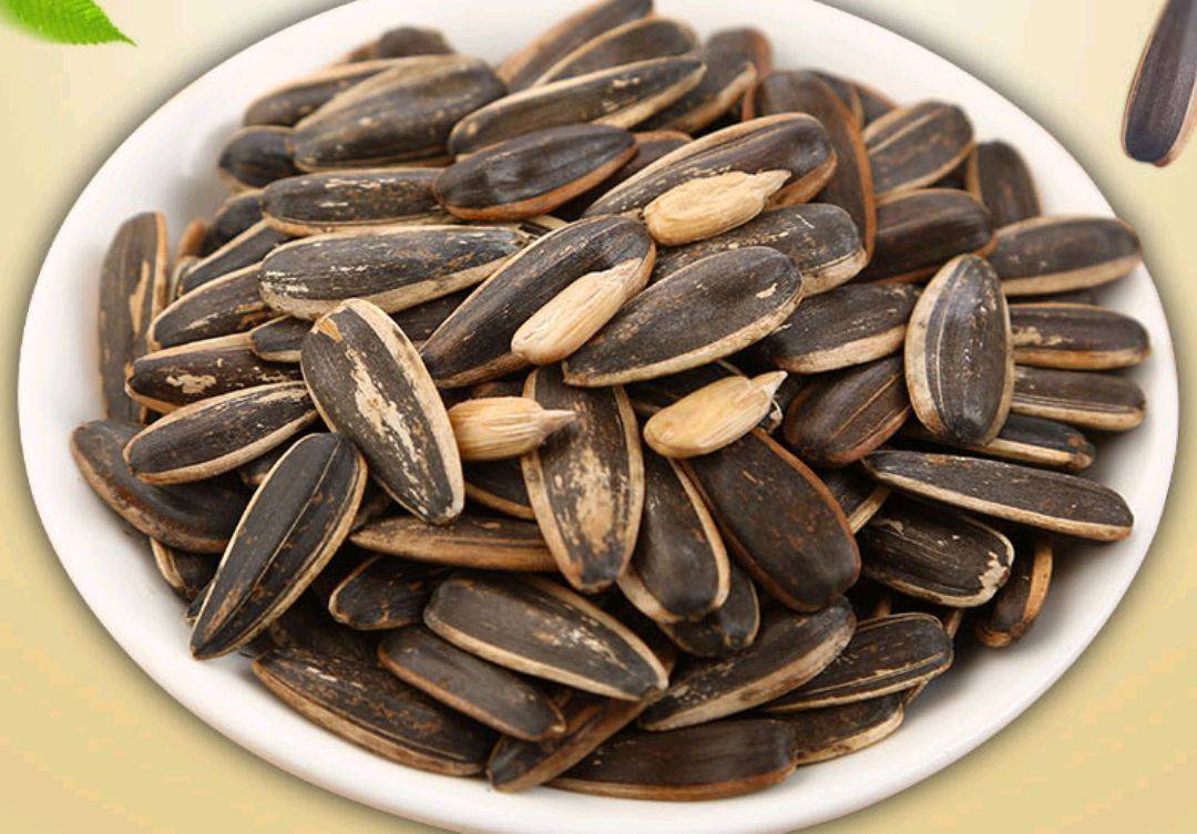 瓜子不仅好吃,而且能够榨油,所以,很多人认为吃瓜子会长胖.
