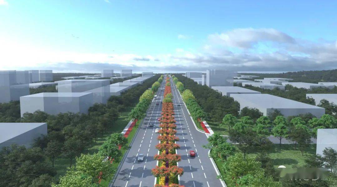 国道g240与疏港公路连接线(希望大道)工程投资金额:总投资8700万元
