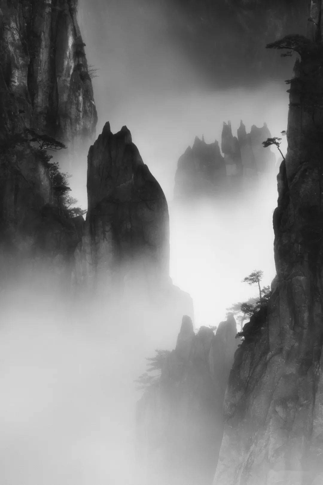 e眼黄山作品赏析摄影组黑白黄山