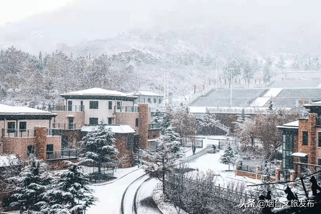 大雪|美出新高度！这样的烟台你肯定没见过！