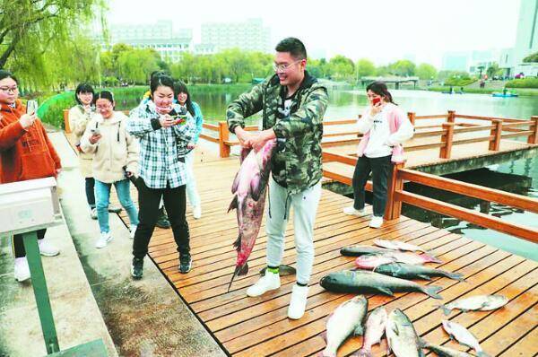 安徽师范大学请师生吃全鱼宴食材为校内花津河打捞的野生鱼