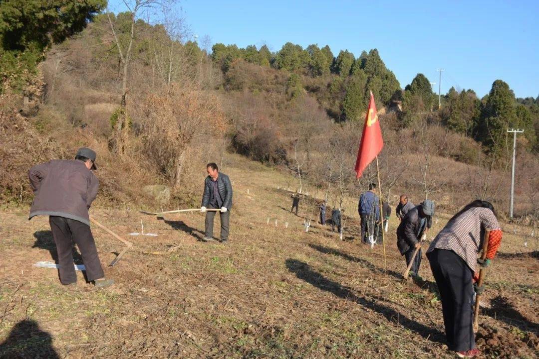 巩固拓展脱贫攻坚成果和乡村振兴有效衔接两当县杨店镇双百千万工程