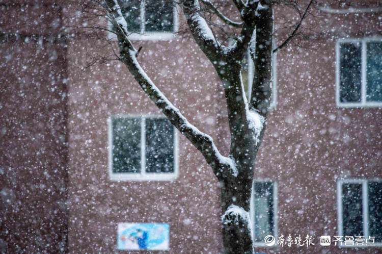 威海文登迎来今冬第一场大雪