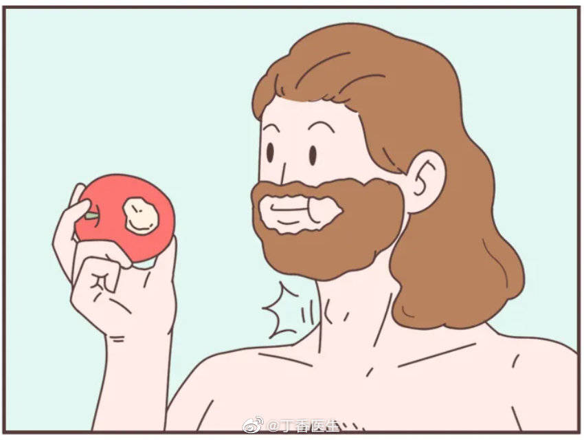 一个冷知识喉结的英文是adamsapple亚当的苹果