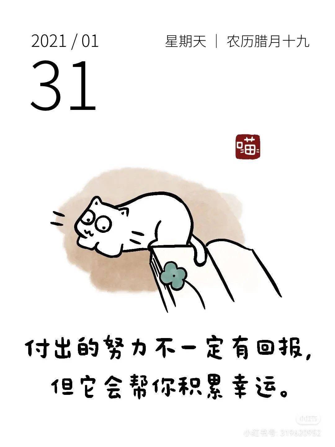 付出的努力不一定有回报,但它会帮你积累幸运