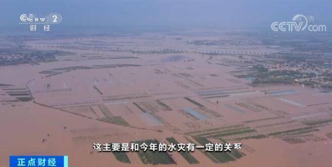 长安|“吃草莓会导致得出血热”？医学专家：没有任何科学依据