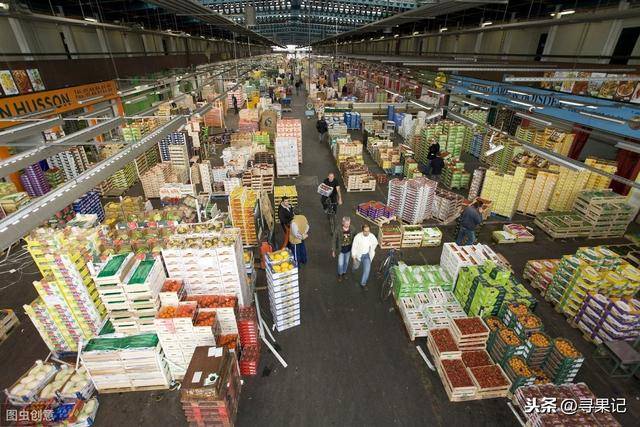 食品批发市场卖什么最赚钱呢知乎